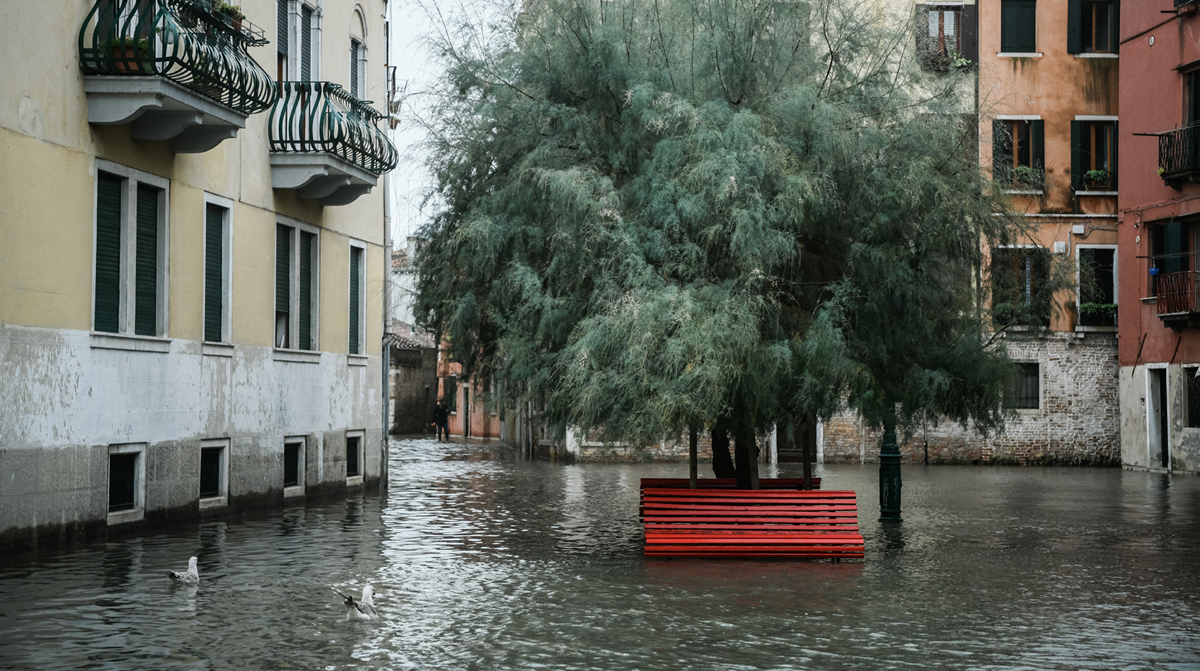 VENICE2